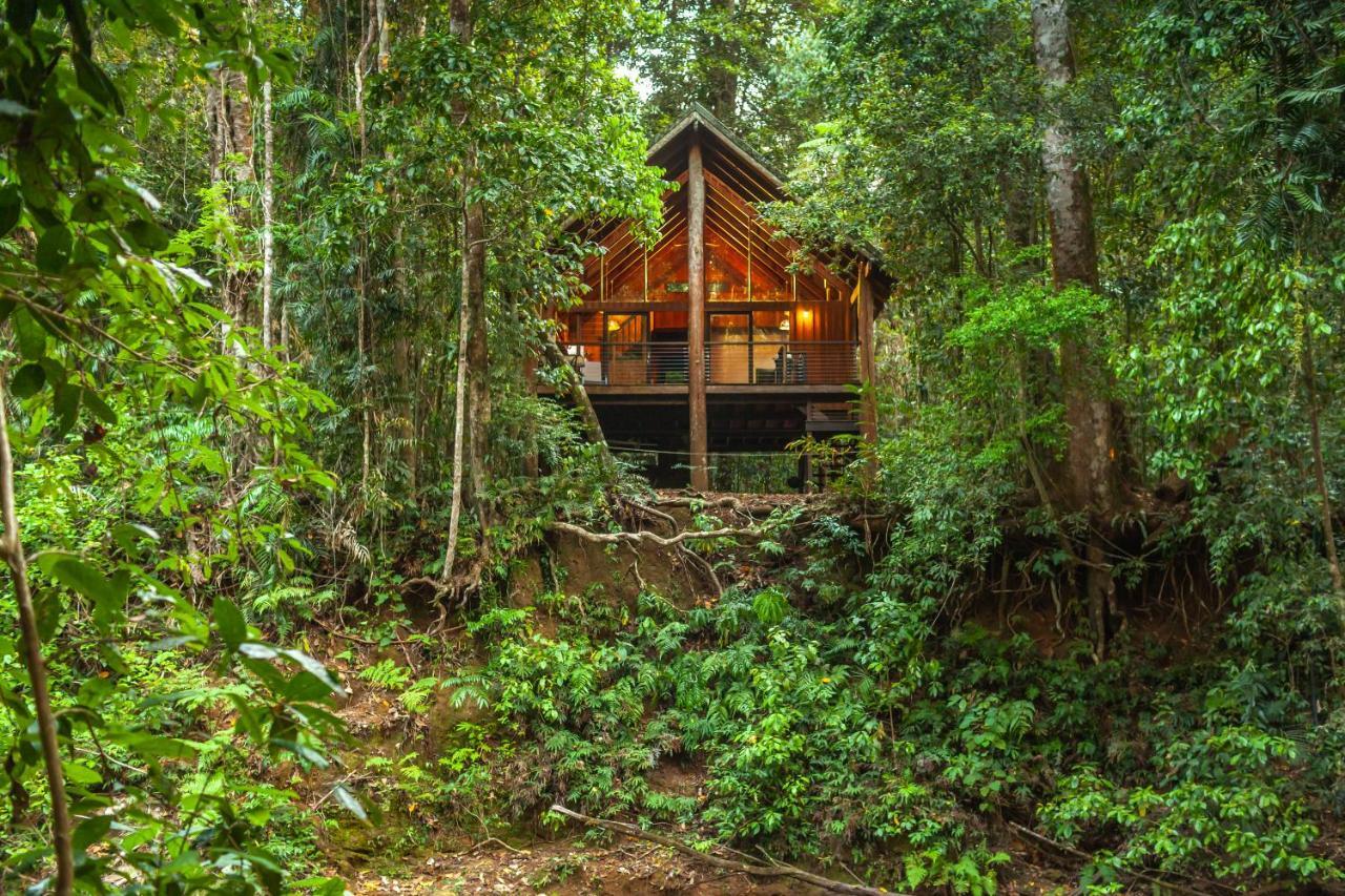 The Canopy Rainforest Treehouses & Wildlife Sanctuary Tarzali Εξωτερικό φωτογραφία